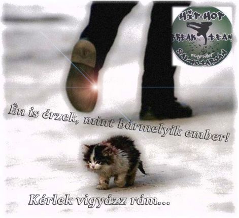 hhbtegyesulet_kerlek...jpg
